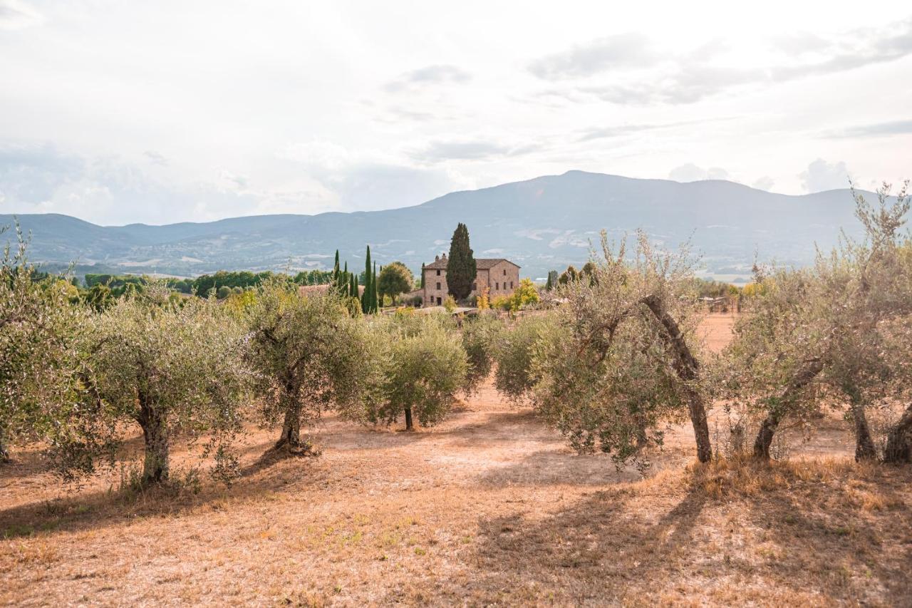 Hostal San Carlo A La Molinella Città della Pieve Exterior foto