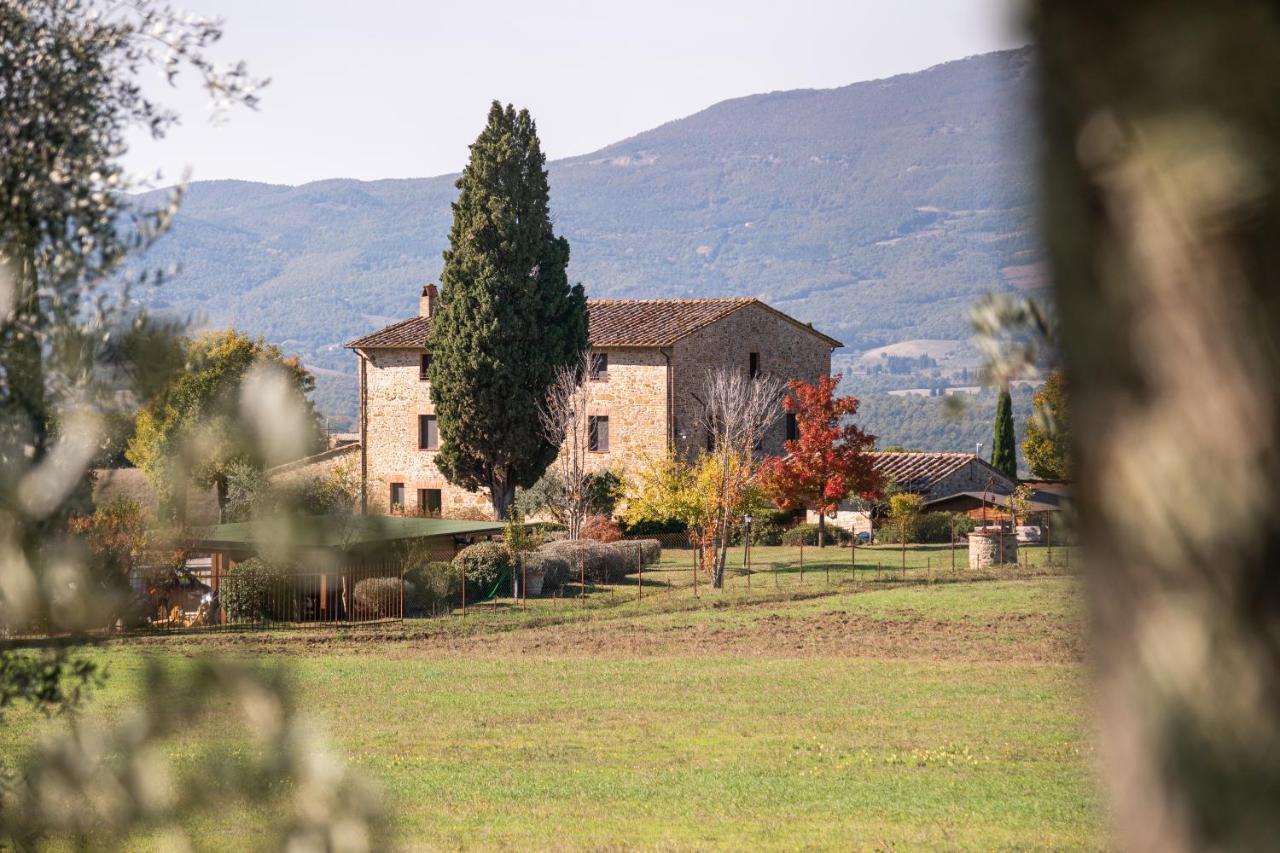 Hostal San Carlo A La Molinella Città della Pieve Exterior foto