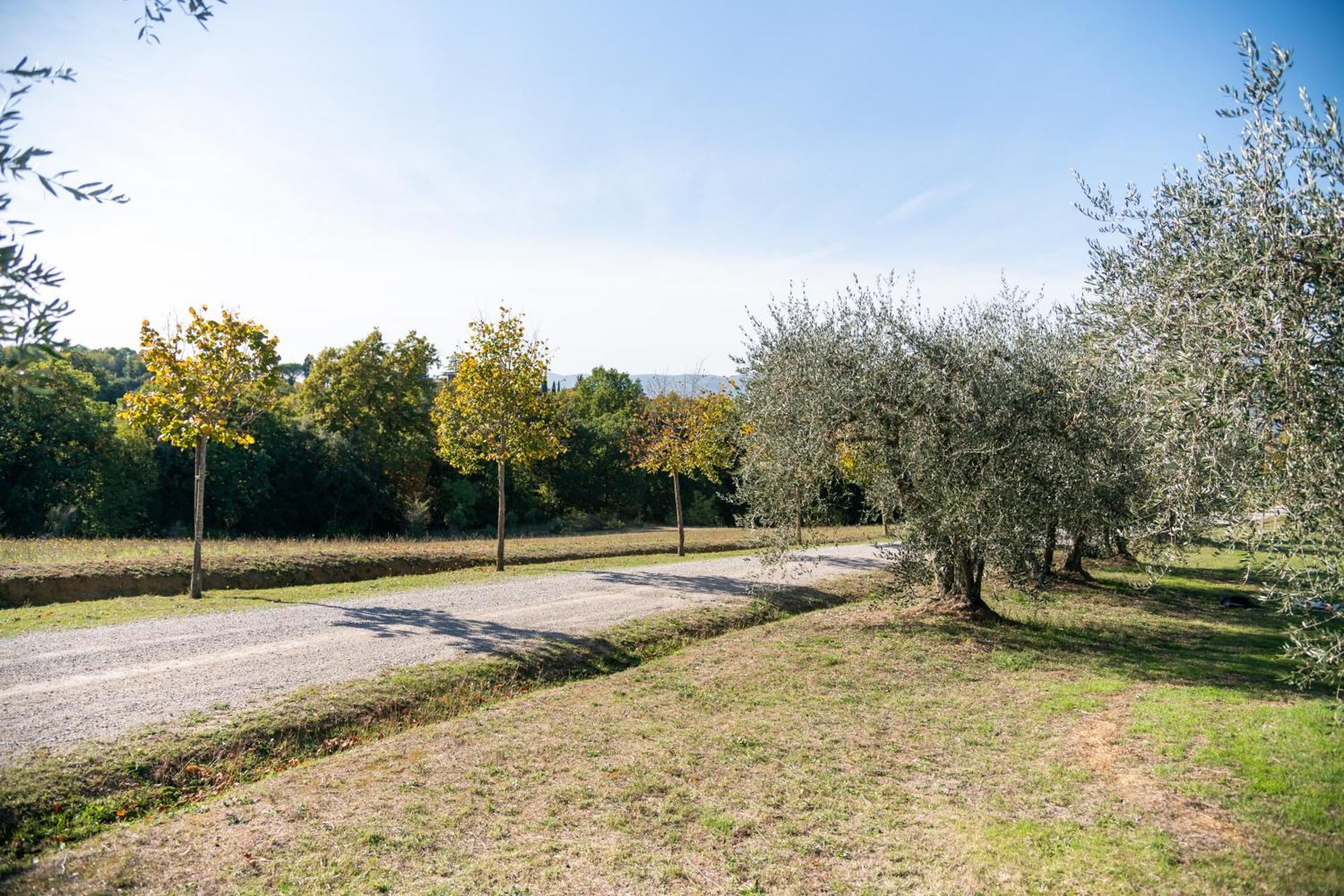 Hostal San Carlo A La Molinella Città della Pieve Exterior foto